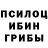 Галлюциногенные грибы GOLDEN TEACHER Catfish Rule