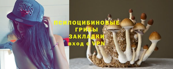спиды Армянск