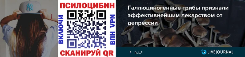 мега вход  Пустошка  Галлюциногенные грибы мицелий  дарнет шоп 